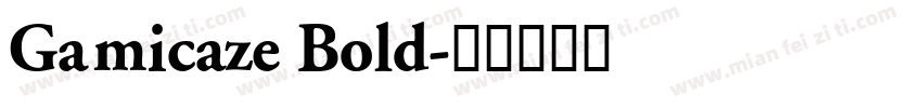 Gamicaze Bold字体转换